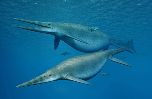 Ichthyosaur