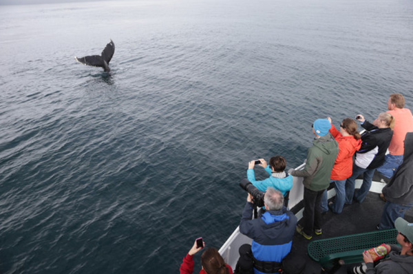 Monterey Humpback