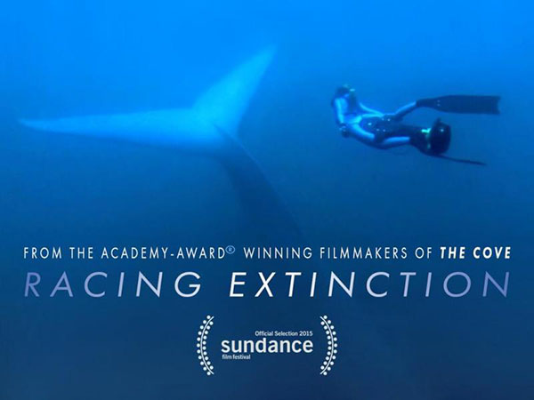 Racing Extinction on Wetpixel