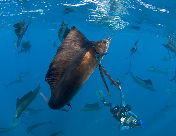 Shawn Heinrichs and Hannah Fraser on Wetpixel