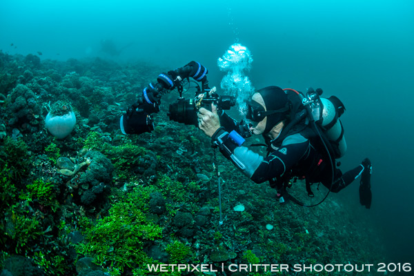 Shooting lembeh