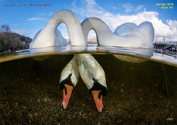 Underwater Photography on Wetpixel