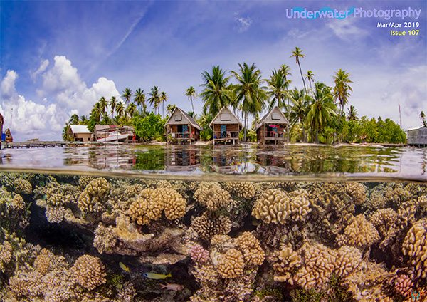 Underwater Photography on Wetpixel