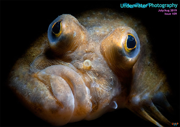 Underwater Photography on Wetpixel