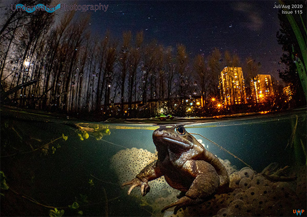 Underwater Photography on Wetpixel