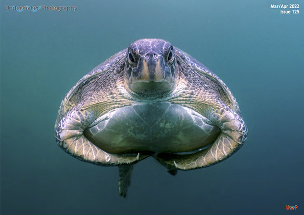 Underwater photography on Wetpixel