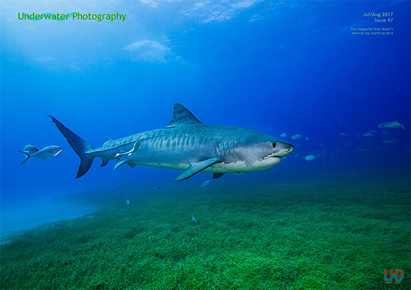 Underwater Photography on Wetpixel