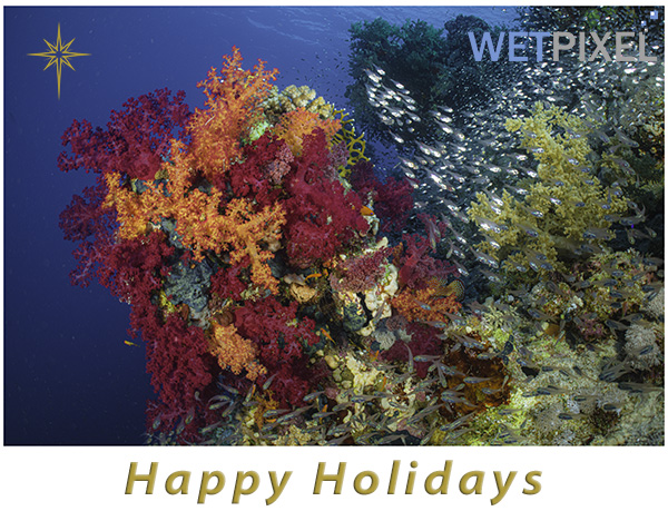 Happy holidays on Wetpixel