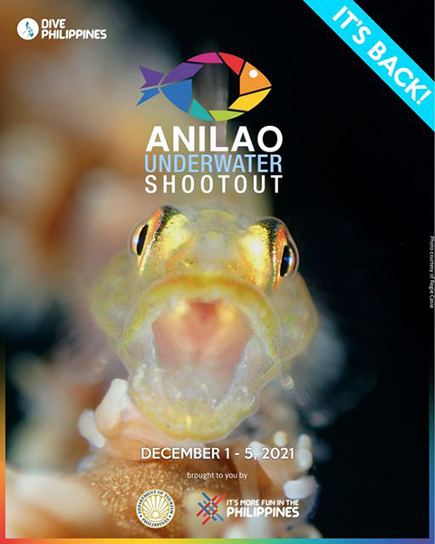 Anilao Shootout on Wetpixel