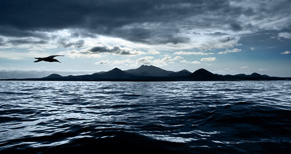 Ascension Islands marine reserve on Wetpixel