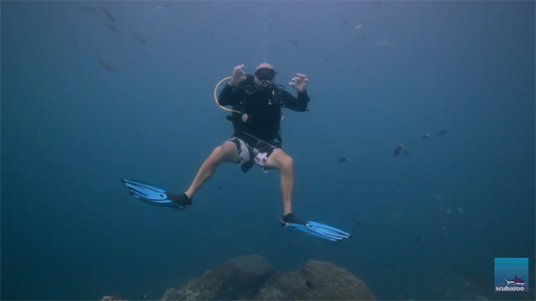 Borneo from Below