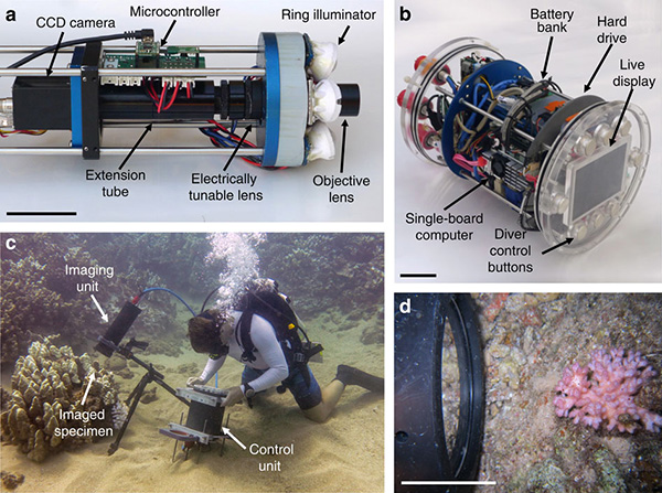 Underwater microscope on Wetpixel