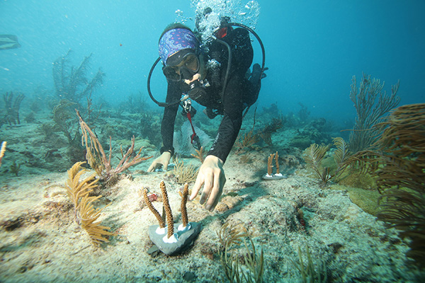 Canon coral reefs on Wetpixel