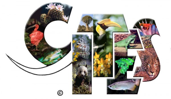 CITES 2013