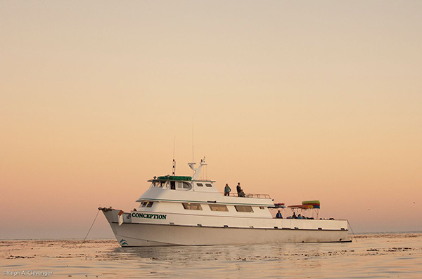 Dive Boat on Wetpixel