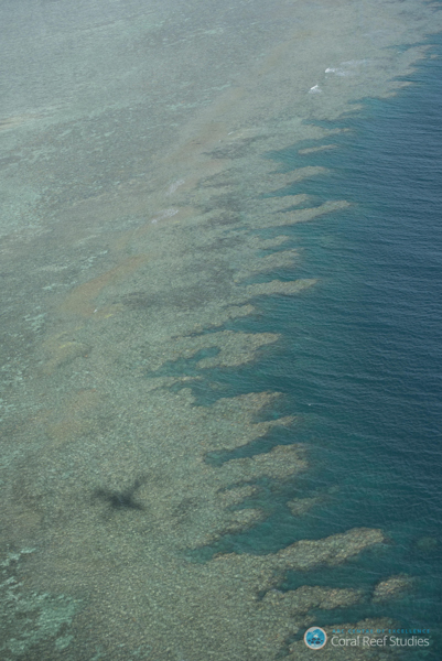 Coral bleaching on Wetpixel