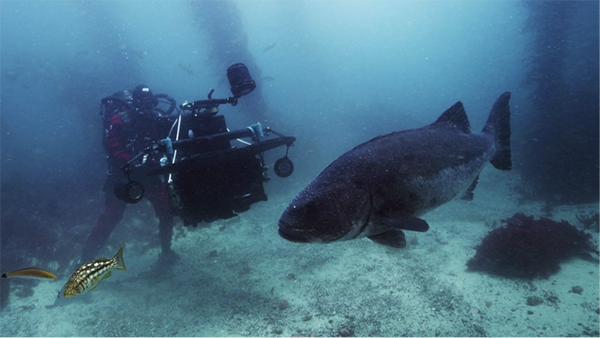 Bob Cranston shooting in 3D on Wetpixel