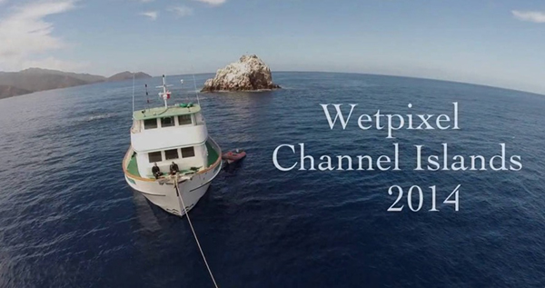 Wetpixel Channel Islands 2014 on Wetpixel