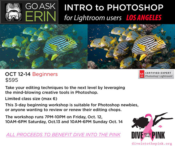 Photoshop workshop on Wetpixel