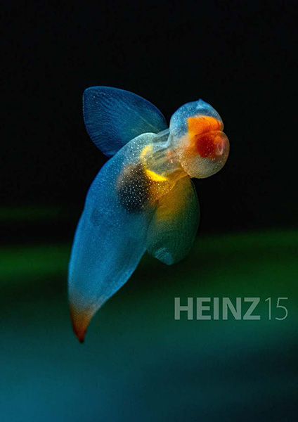 Heinz magazine on Wetpixel