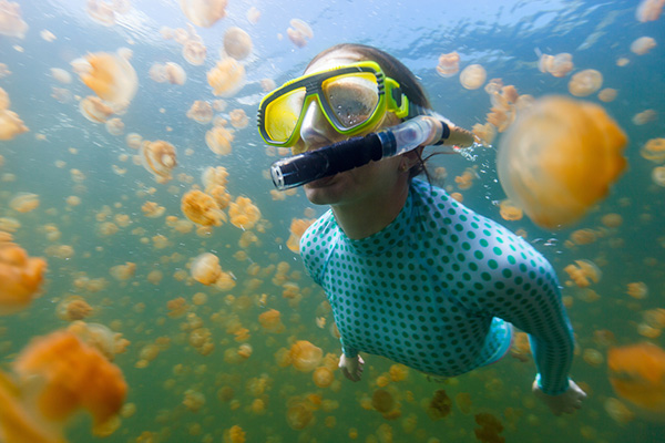 Jellyfish Lake on Wetpixel