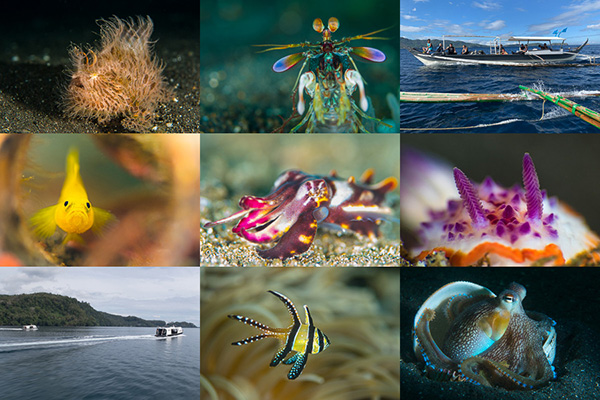 Lembeh_anilao-SHOOTOUT_20