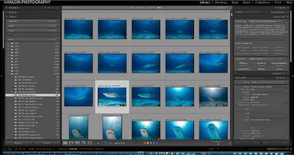 Lightroom 6.4 CC2015.4 on Wetpixel