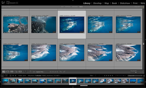 Adobe Lightroom on Wetpixel