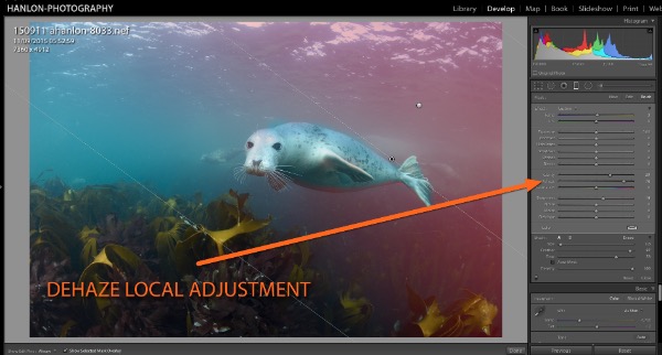 Adobe updates on Wetpixel