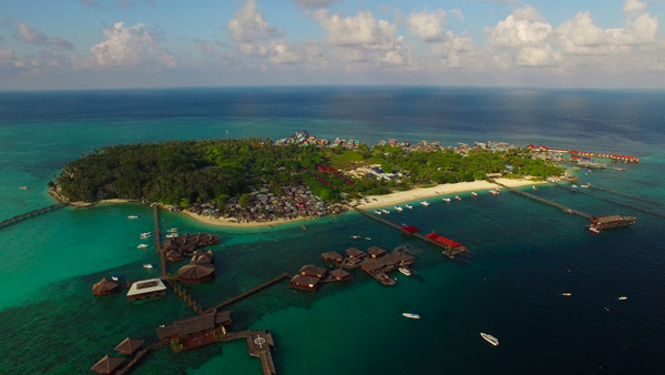 Borneo aerial