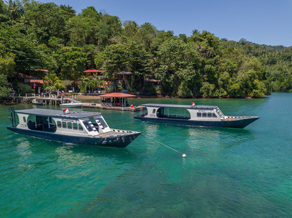 NAD-Lembeh on Wetpixel