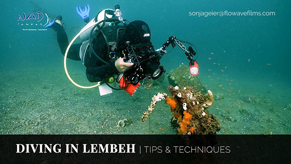 NAD Lembeh on Wetpixel