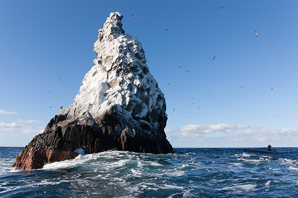 Revillagigedos Marine Park on Wetpixel