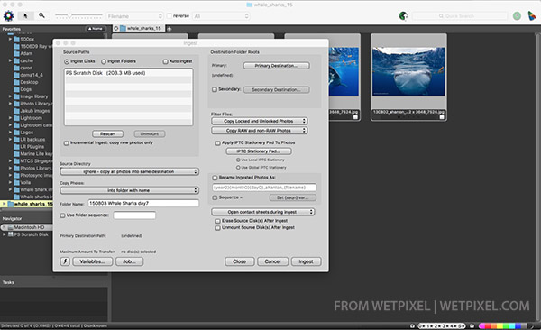 Lightroom import woes on Wetpixel