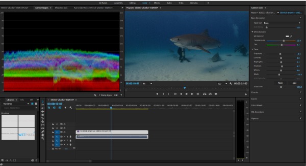 Premiere Pro on Wetpixel