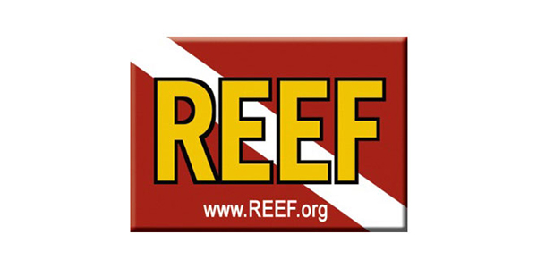 REEF on Wetpixel