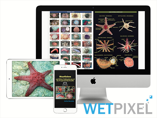 Reef Id Books on Wetpixel