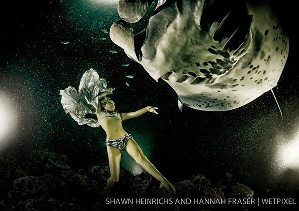 Shawn Heinrichs at TEDx