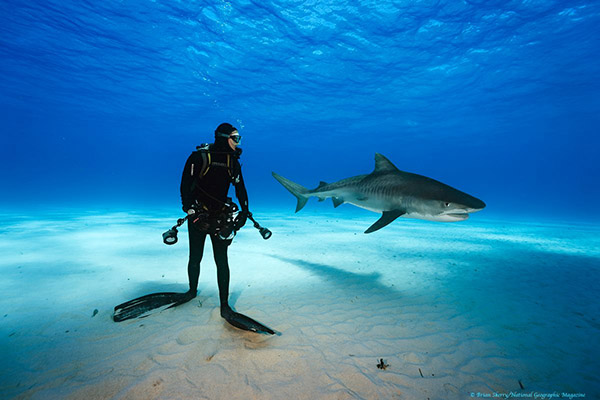 Brian Skerry on Wetpixel