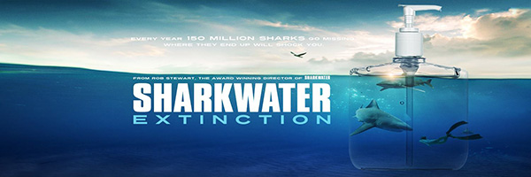 Sharkwater on Wetpixel