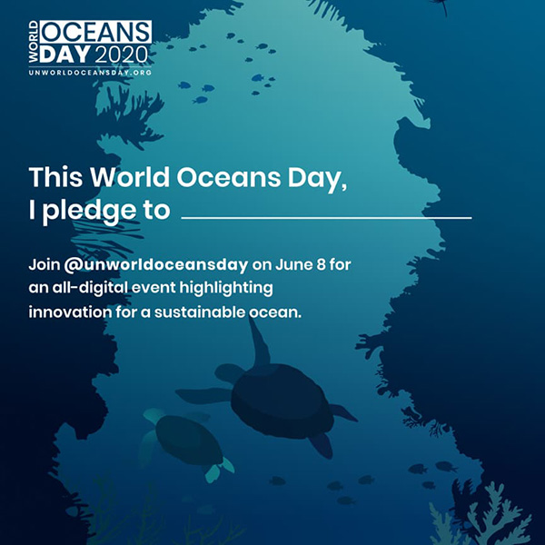 UN World Oceans Day on Wetpixel