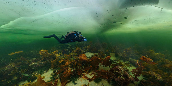 Under ice pano on Wetpixel