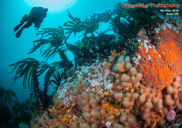 Underwater Photography on Wetpixel