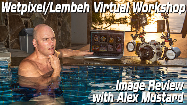 Alex Mustard on Wetpixel