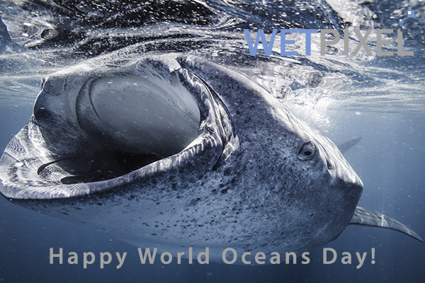 World Oceans Day on Wetpixel